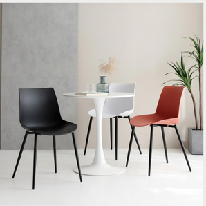 Modern Ergonomic Dining Chair with Steel Legs & PP Seat