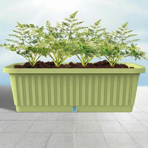 Rectangular-Shaped Thickened Plastic Vegetable Planting Pot