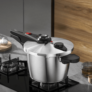 Safe Stew Stainless Steel Pressure Cooker