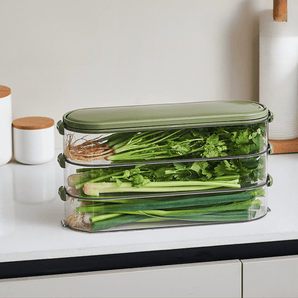 Multi-Purpose Transparent Storage Organizer Box With Handle (Green)