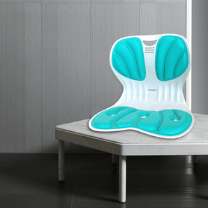 Ergonomic Waist and Back Support Cushion (36cm)