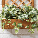 Hanging Wooden Plant Stand