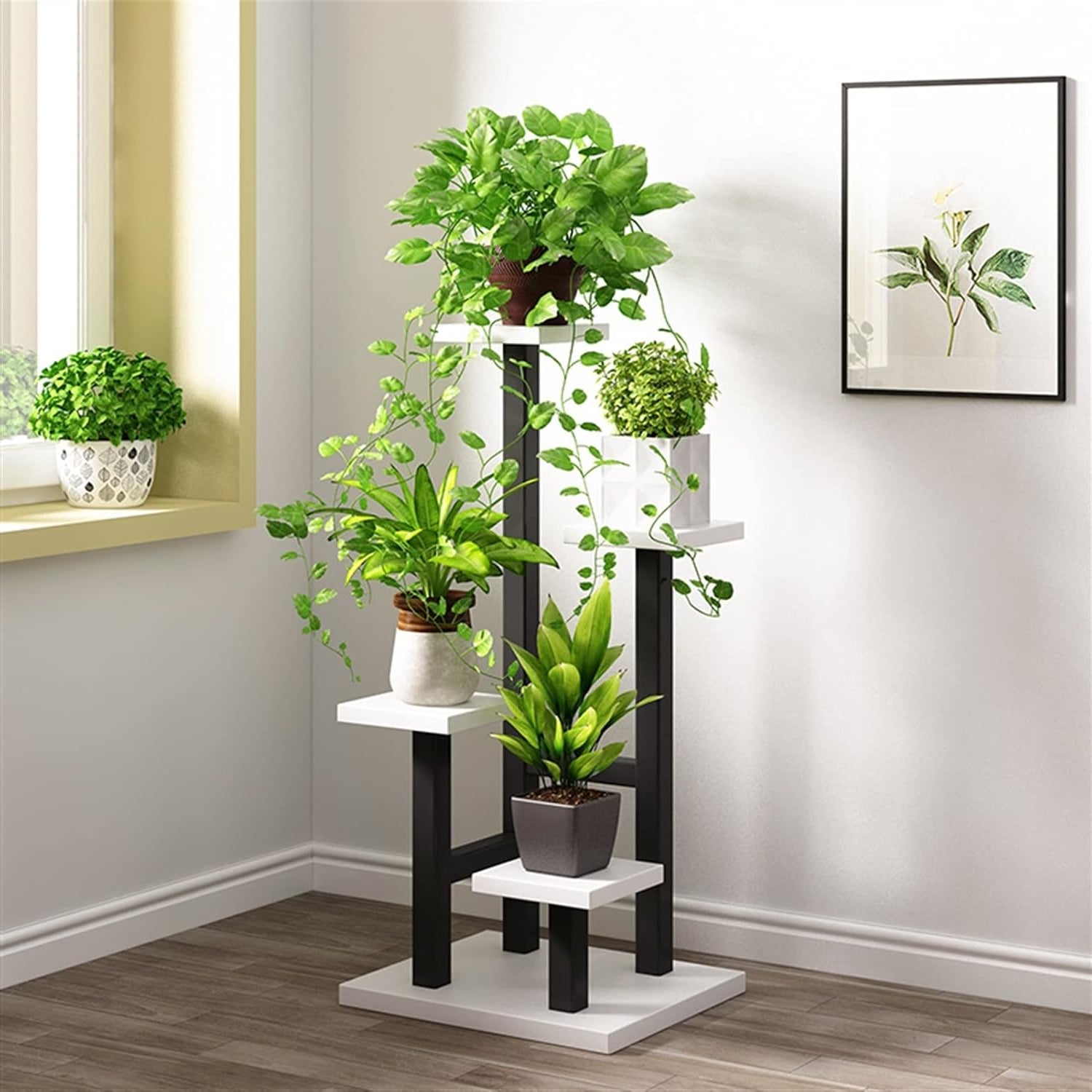 3 Plant Rack Buy Best Multi-Tier Plant Rack Online in India at Best Price