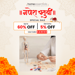 Clear Human Body Structure Model {Ganesh Chaturthi SALE 5% OFF} - USE CODE 🏷️ "GANESH"