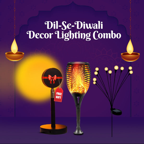 Dil-Se-Diwali Lighting Kit