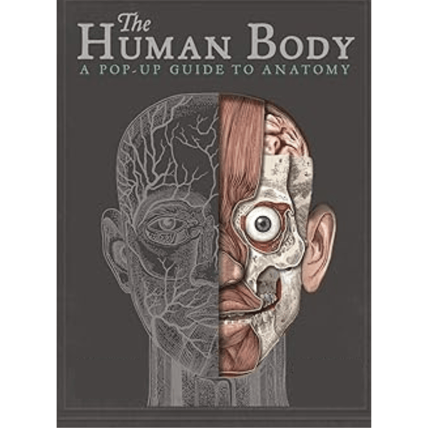 Human Body Pop-Up Guide Book