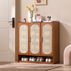 Multi-Layer Rattan Door Shoe Cabinet