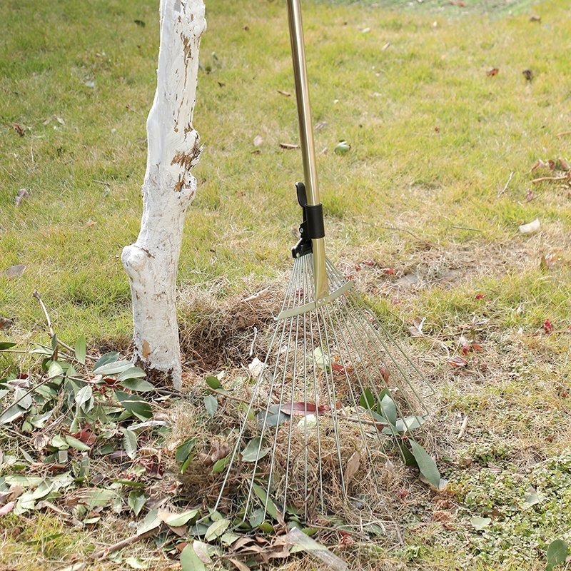Belro Versatile Rake Buy Best Garden Rake Online in India at Best Price