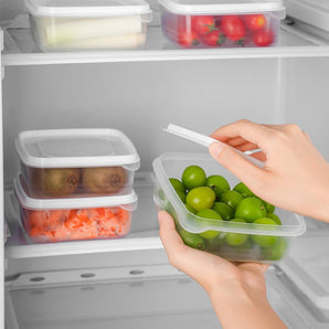 Refrigerator Fresh Frozen Food Storage Container