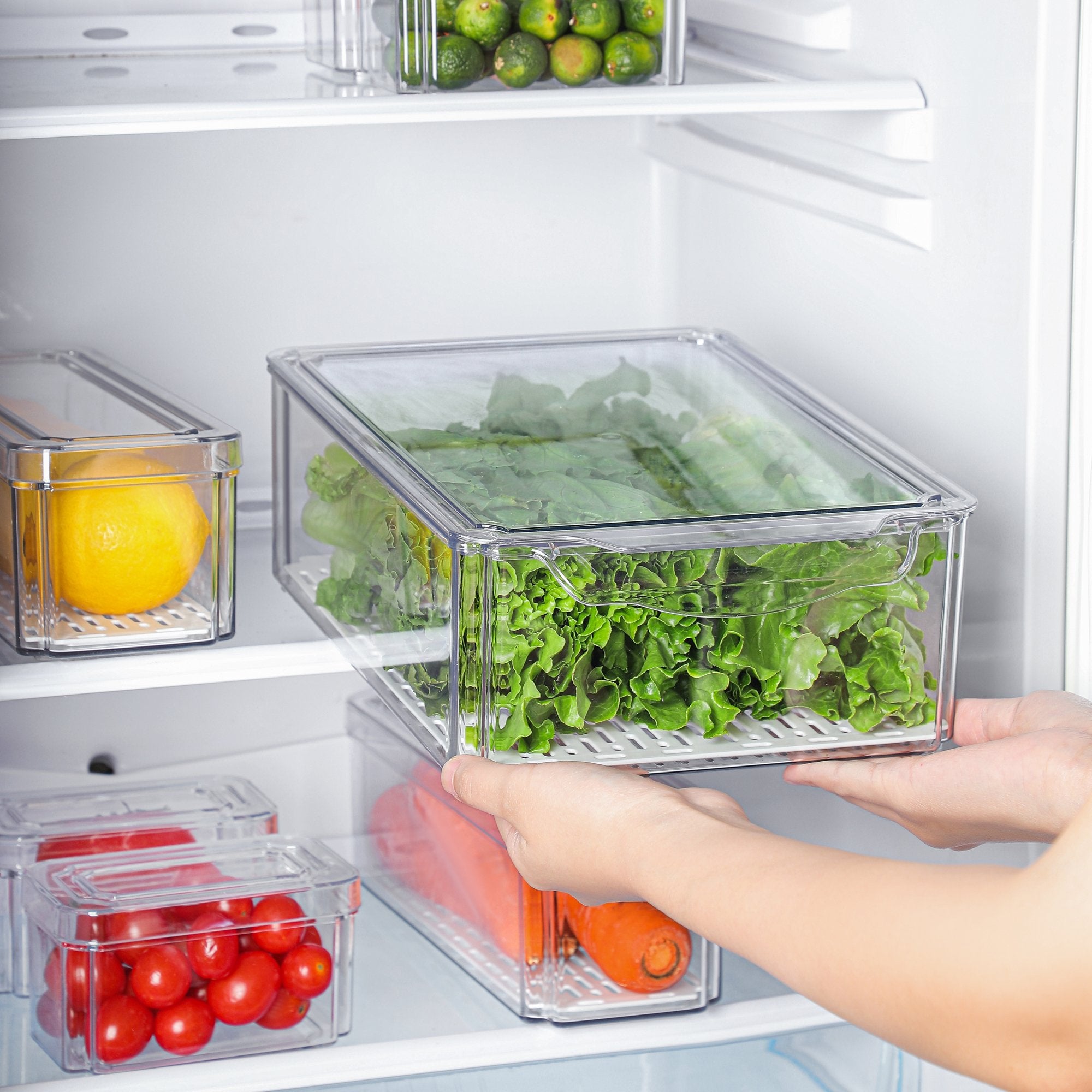 Refigant Box Fresh Guard Refrigerator Storage Box