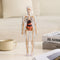 Clear Human Body Structure Model - 50% OFF
